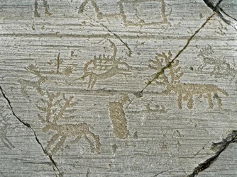 Pravěk, civilizace Camunnů, skalní umění: náhrobní skála se zobrazením jelenů. Období mezi neolitem a dobou bronzovou. Skála. 1. Capo di Ponte, Parco nazionale delle incisioni rupestri di Naquane, Valcamonica, Val Camonica, Itálie