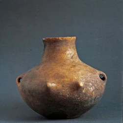 Pravěk, rinaldonská kultura (Montefiascone): terakotová váza z nekropole v Rinaldone. Doba měděná. Eneolit. 2200 př. n. l. Řím, Národní prehistorické a etnografické muzeum Luigiho Pigoriniho