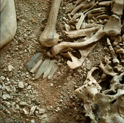 Pravěk: dvojitá hrobka dospělých a dětí. Detailní pohled na pohřební kalhoty z jeskyně Candid Arene (Finale Liguria), Ligurie. Mesolithic, 7000-6000 BC. Genes, museo di archeologia ligure