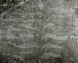 Pravěk, skalní umění: rytá skála s vyobrazeními dýk a volů. Doba měděná. Eneolitické období (chalkolit). Skála č. 1. Cemmo (Brescia), Národní archeologický park balvanů v Cemmu, Itálie