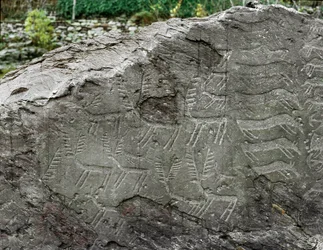 Pravěk, skalní umění: hrobová skála s vyobrazeními jelenů a dobytka. Doba měděná. Eneolitické období (chalkolit). Skála č. 1. Cemmo (Brescia), Parco Archeologico Nazionale dei Massi di Cemmo, Itálie