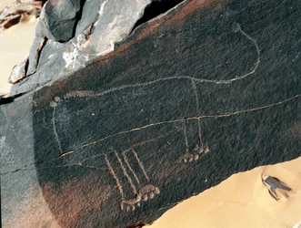Pravěk, skalní umění: hrobová skála zpodobnění lva. Styl Tazina. Doba kamenná 5000-2000 před naším letopočtem. Taghit, Haut plateau du Hoggar (Ahaggar), Alžírsko