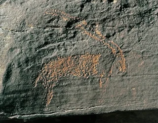 Pravěk, skalní umění: hrobová skála znázorňující antilopu. Doba kamenná 5000-2000 před naším letopočtem. Taghit, Haut plateau du Hoggar (Ahaggar), Alžírsko