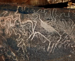 Pravěk, skalní umění: hrobová skála reprezentace dobytka. Styl Tazina. Doba kamenná 5000-2000 před naším letopočtem. Taghit, Haut plateau du Hoggar (Ahaggar), Alžírsko