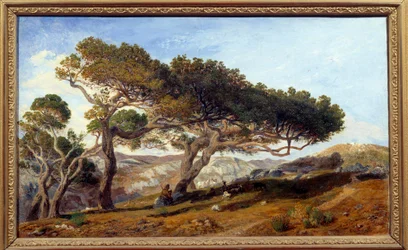 Borovice na venkově v krajině Aix en provence Maquis na jihu Francie. Obraz Prospera Josepha Gresyho (1804-1874) 19. století Aix en Provence, Musee Granet - Borovice v krajině kolem Aix-en-Provence. Krajina maquis v