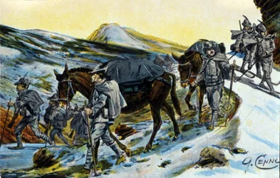 První světová válka: skupina italských alpských lovců v uznání svými mulami v roce 1915. Ilustrace Quinto Cenni (1845-1917)