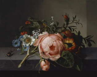 Zátiší s růžovou větví, broukem a včelou, 1741