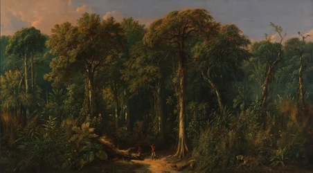 Jávská džungle, ca. 1860.