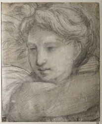Hlava anděla, c. 1520
