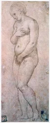 Studium Venuše, c1500-1520