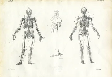 Člověk, 1863-79