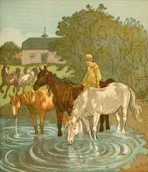 The Farmers Boy napájení koní, c1881.