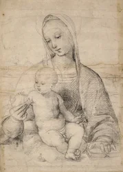 Madona z granátového jablka, kolem 1504 (černošedá křída)