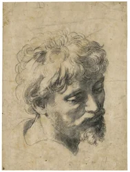 „Portrét mladého apoštola“ (Hlava mladého apoštola). Uhel na papíře od Rafaela (Raffaello Sanzio) (1483-1520). Soukromá sbírka