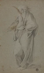 Noe
