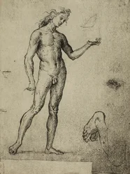 Studie mužského aktu; kresba od Raphaela. Gallerie dellAccademia, Benátky