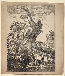 Studie stromu