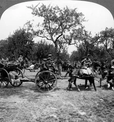 Dělostřelectvo tažené koňmi, první světová válka, 1914-1918.