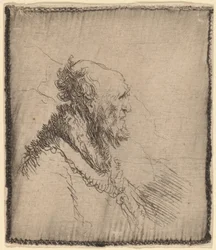 Holohlavý starý muž s krátkým plnovousem z profilu, c. 1635.