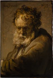 Busta vousatého starého muže, 1633