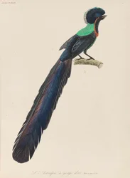 Ráj, 1835.