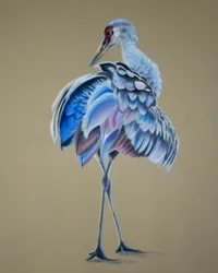 Jeřáb