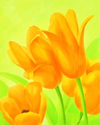 Zářivě oranžové tulipány