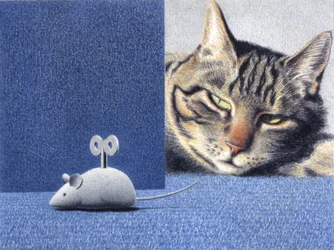 Myš