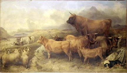 Neznámý obrázek