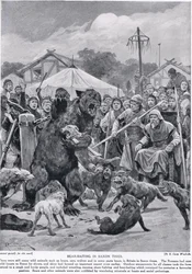Medvědí návnady v saských dobách, z „Hutchisonova příběhu britského národa“, kolem roku 1920