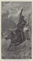 Nada the Lily, H Rider Haggard