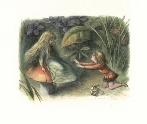 Elf princ odmítnut vílou na muchomůrce (litografie)