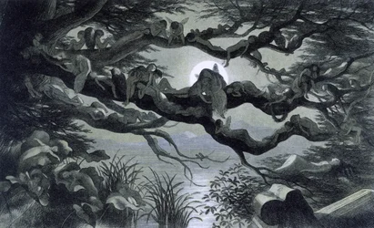Víly, nymfy a elfové odpočívající v měsíčním světle na větvi? Ilustrace ""V říši pohádek. Série obrázků ze světa elfů"" od Richarda Doyla 1869-1870 The British Library Institution Reference: Shelfmark ID: 1876 e18 