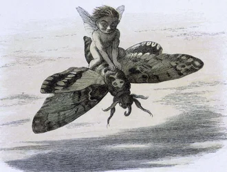 Un elfe chevauchant un papillon. Ilustrace Richarda Doylea v ""V pohádkové zemi." Série obrázků ze světa elfů"" accompagnee d