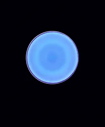 Circle X, 2005 (digitální fotogram typu C)