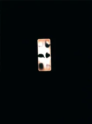 Bez názvu, 2004 (unikátní fotogram typu C)