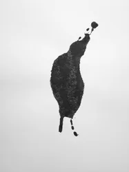 Bez názvu, 2009 (monotyp)