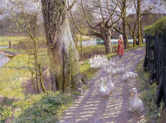 Cesta u mlýnského rybníka, 1900