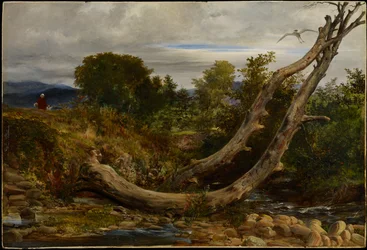 Rozrušená volavka, asi 1850 (olej na žíněné lepence)