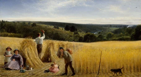 Údolí stojí hustě kukuřicí, 1865.