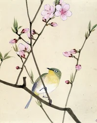 Bird - japonská kresba Riou Chim, konec 19. století