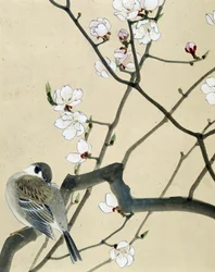 Bird - japonská kresba Riou Chim, konec 19. století