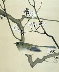 Bird - japonská kresba Riou Chim, konec 19. století