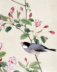 Bird - japonská kresba Riou Chim, konec 19. století