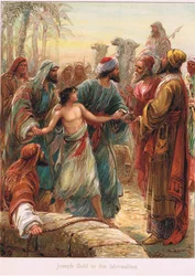 Ilustrace z 