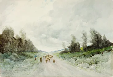Northumberland Road (wc na papíře)