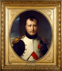 Portrét Napoleona Bonaparta, 19. století