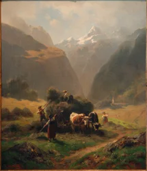 Senoseč ve vysokých horách