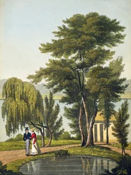 Clifton, z „The Naturama, nebo, Nature