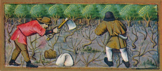 Březen - práce na vinici, 15. století, 1939.